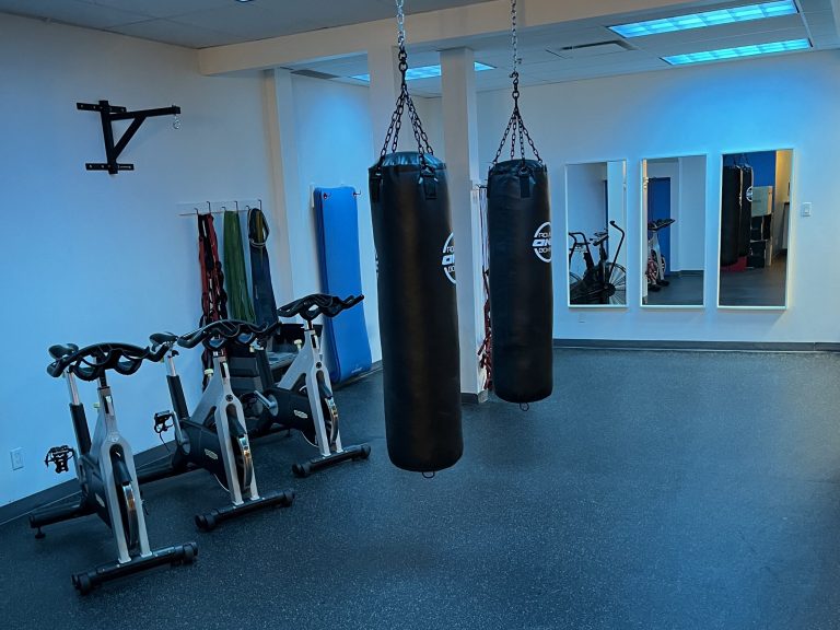 MF TRAINING, photo studio & matériel de combat & cardio